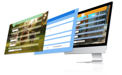 Tailoring Your Public Forms Response Appearance
