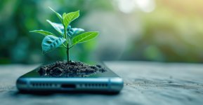Simple Nature Surveys with an Offline Survey App