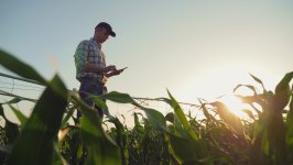 The NestForms Offline Survey App for Remote Areas