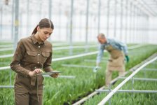 The Benefits of Efficient Field Service Software