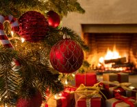 Merry Christmas and happy New Year to Everyone!