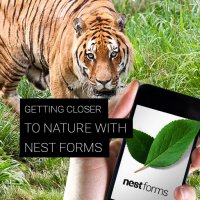 Getting closer to nature with Nest Forms