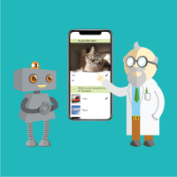 How using images in your forms can improve your surveys